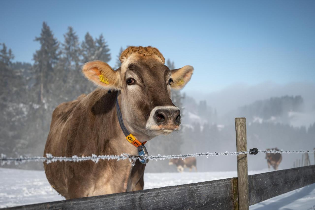 Hartungs Hoteldorf Füssen Exteriör bild