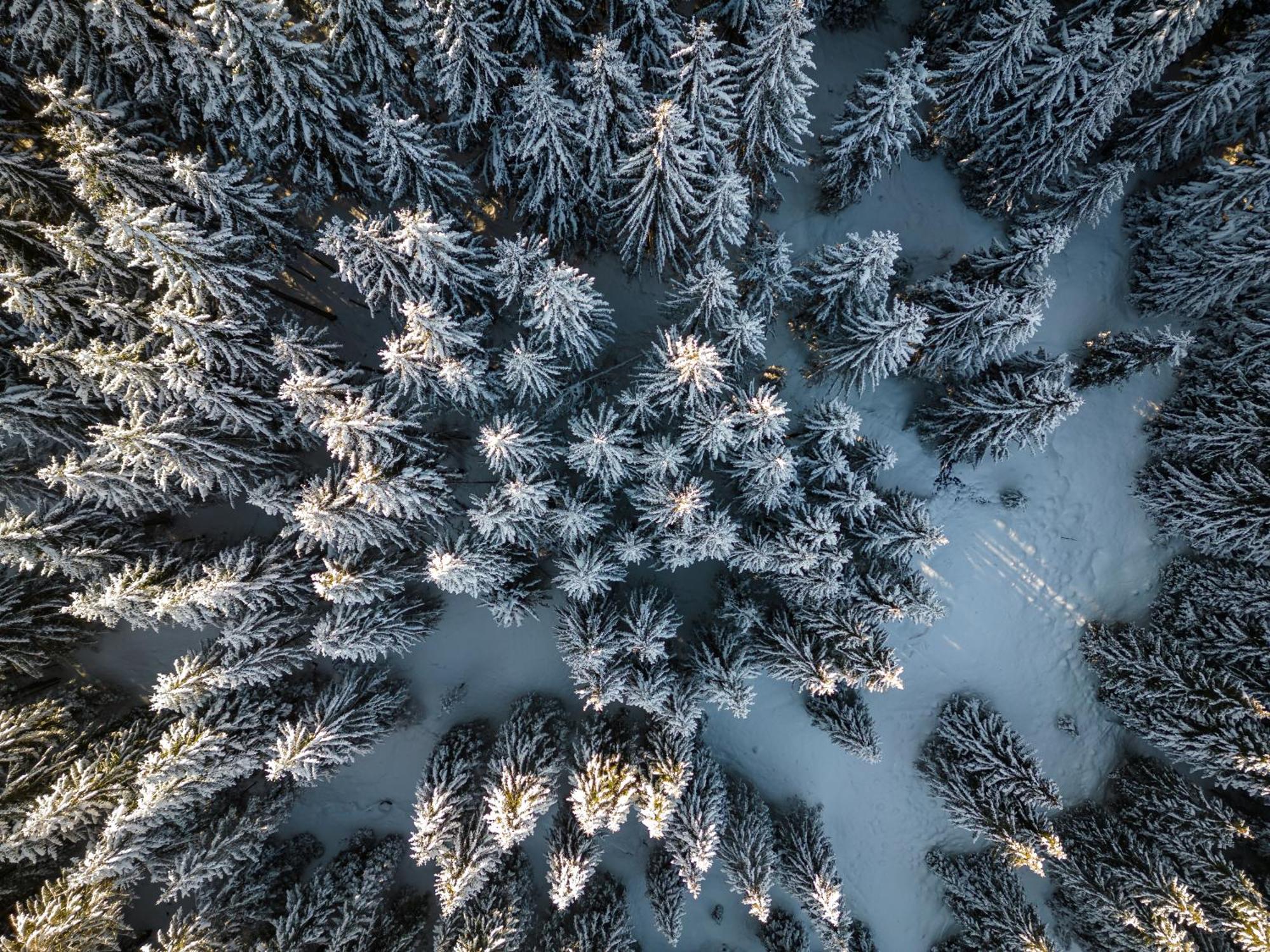 Hartungs Hoteldorf Füssen Exteriör bild